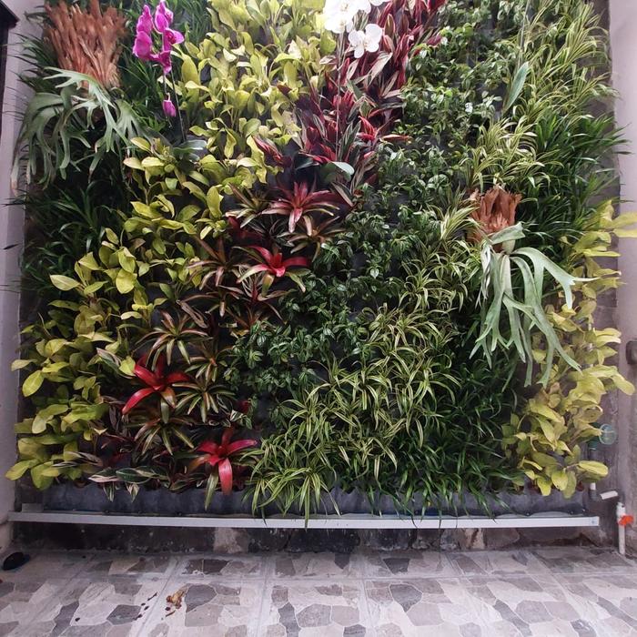 Vertical garden kantor